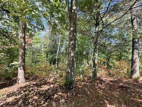 Lot 215 Old Toccoa Loop, Mineral Bluff, GA, 30559 | Card Image