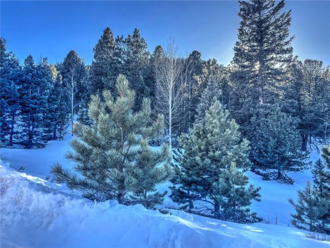 1174 Monarch Dr, Home with 0 bedrooms, 0 bathrooms and null parking in Cripple Creek CO | Image 9