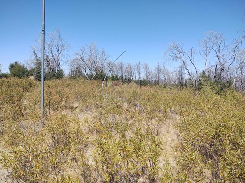 363 Raccoon Rd, Berry Creek, CA, 95916-9518 | Card Image