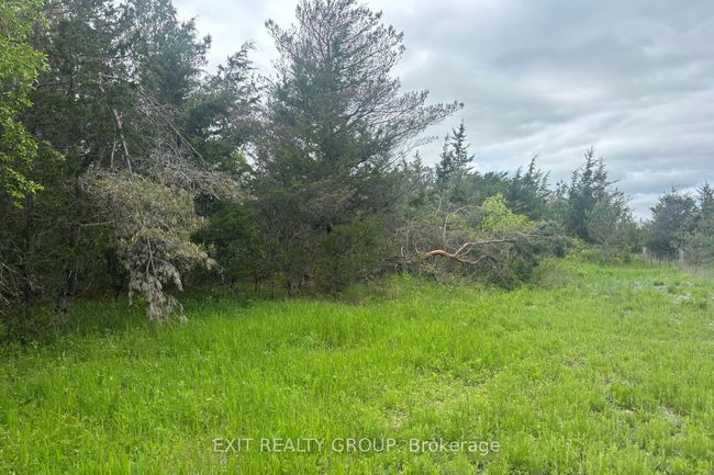 262 Johnston Rd, Home with 0 bedrooms, 0 bathrooms and null parking in Thomasburg ON | Image 6