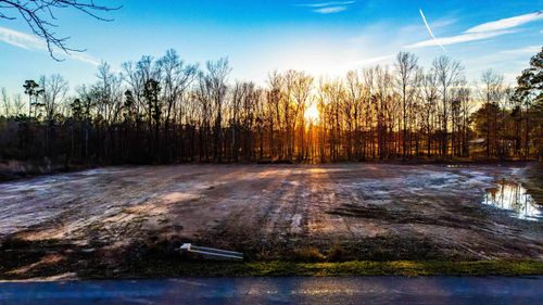 Lot 1 Waldrons Ferry Rd, Hallsville, TX, 75650 | Card Image