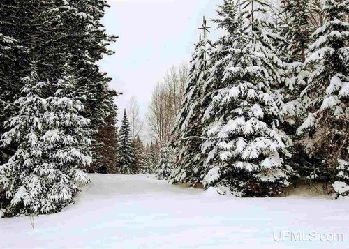 15169 Bellaire Rd, Baraga, MI, 49908-9101 | Card Image