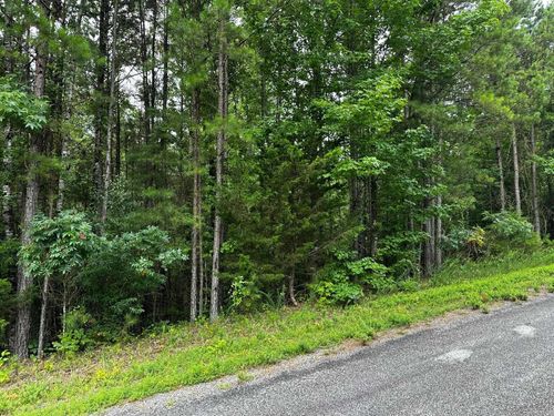 Lot 96 Cobalt Bay Dr, Shirley, AR, 72153 | Card Image