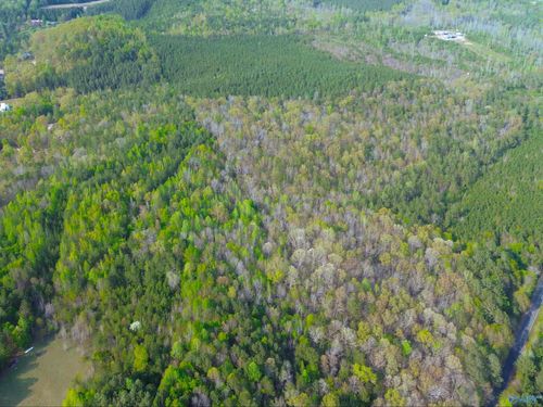 89 Acre County Road 8, Piedmont, AL, 36272 | Card Image