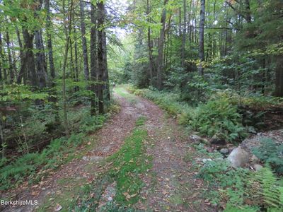 250 Magee Rd, House other with 4 bedrooms, 1 bathrooms and null parking in Stamford VT | Image 3