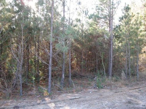 Lot 3 Parkview Estates, Ellisville, MS, 39437 | Card Image