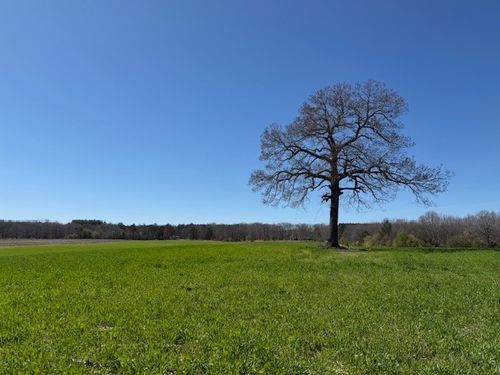 1 Ut Farm Rd, Tullahoma, TN, 37388 | Card Image