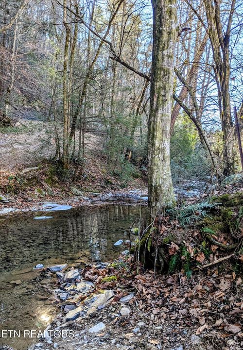  Carrs Creek Rd, Townsend, TN, 37882 | Card Image