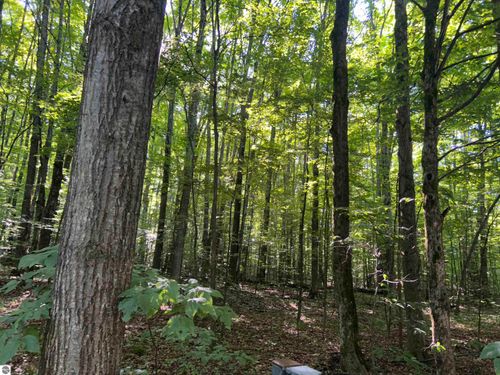 Lot 41 Heideldorf Ln, Bellaire, MI, 49615 | Card Image