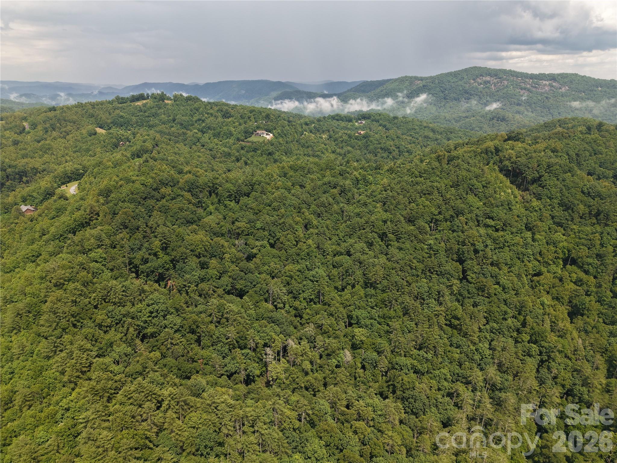 Land in Lenoir 3