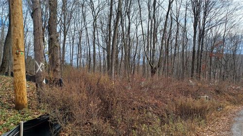 4 Prout Ln, Stormville, NY, 12582-5525 | Card Image