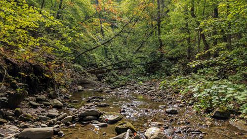 1930 Stone Chimney Road, Reading, VT, 05062 | Card Image
