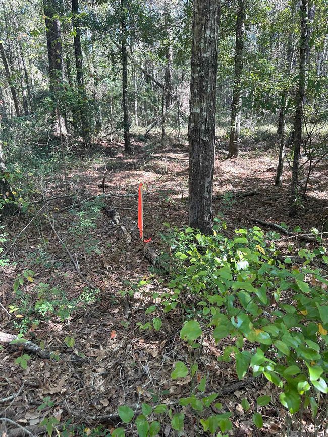26.85 Acres Heritage Acres Ln, Home with 0 bedrooms, 0 bathrooms and null parking in Robert LA | Image 6