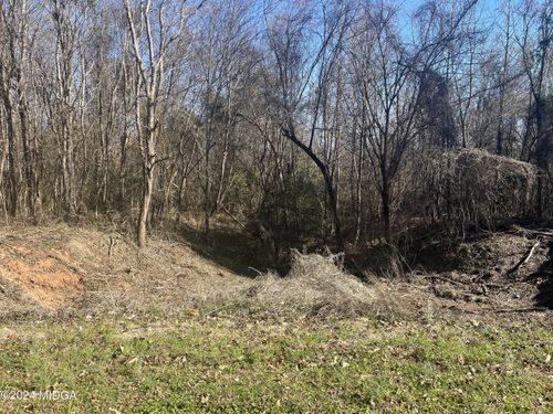 00 Riggins Mills Road, Jeffersonville, GA, 31044 | Card Image