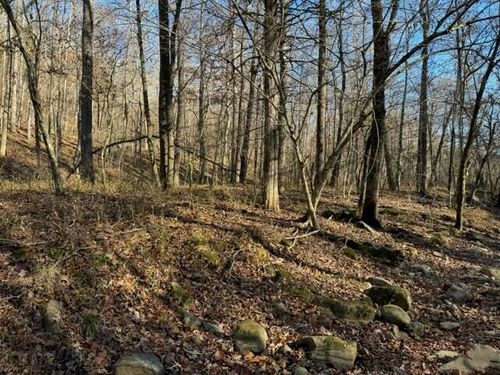 TBD Nc 8465, Parthenon, AR, 72666 | Card Image