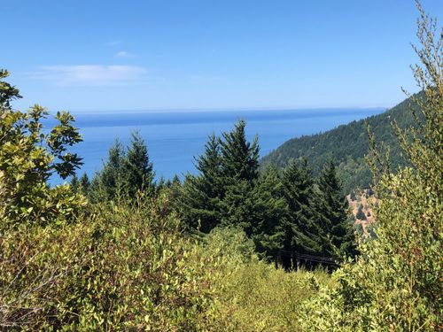 3656 Willow Gln, Whitethorn, CA, 95589 | Card Image