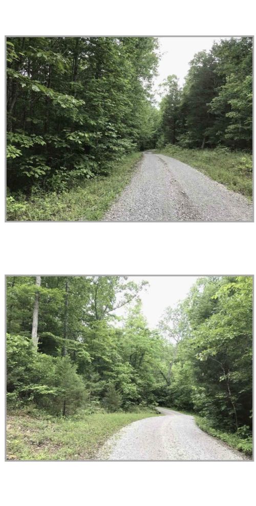 0 Wilson Ridge Ln, Fairview, TN, 37062 | Card Image