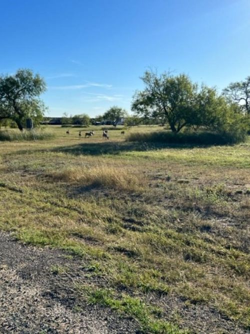 viii-20 Nakishwana Cir, Sandia, TX, 78383 | Card Image