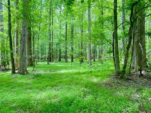 0 Pete Johnson Rd, Tignall, GA, 30668 | Card Image
