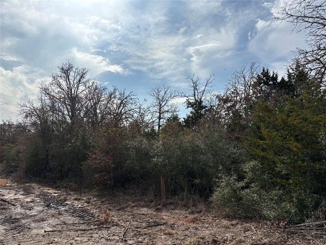 Front of lots 64 and 63 | Image 11