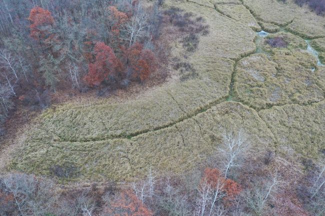 DJI_0610.JPG | Image 10