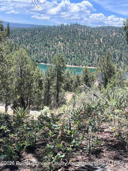 217 Mountain High Cir, Ruidoso, NM, 88345-9163 | Card Image