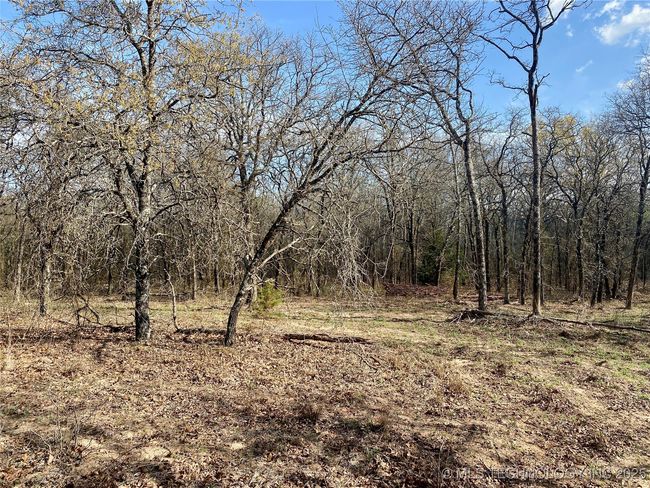 2 State Highway 76, Home with 0 bedrooms, 0 bathrooms and null parking in Wilson OK | Image 16