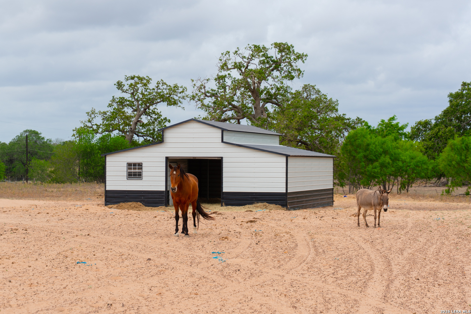 Residential in Floresville 4