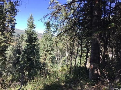 96a-741 W Forgotten Ln, Coalville, UT, 84017-6830 | Card Image