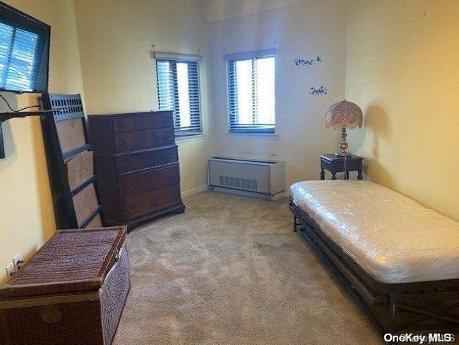 APT-125 - 725 Miller Ave, Condo with 1 bedrooms, 1 bathrooms and 2 parking in Freeport NY | Image 14