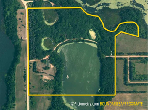 36546 Glen Haven Dr, Battle Lake, MN, 56515 | Card Image