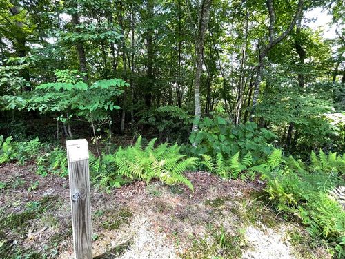 Lot 37 Fodder Creek Mill Rd, Hiawassee, GA, 30546 | Card Image