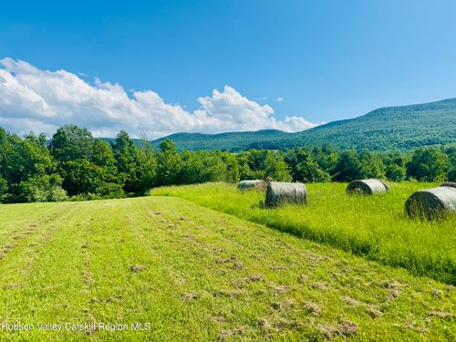 183 Pratt Rd, Cornwallville, NY, 12418-1155 | Card Image
