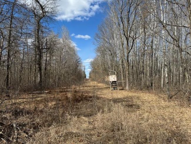 West Powerline 2 | Image 33