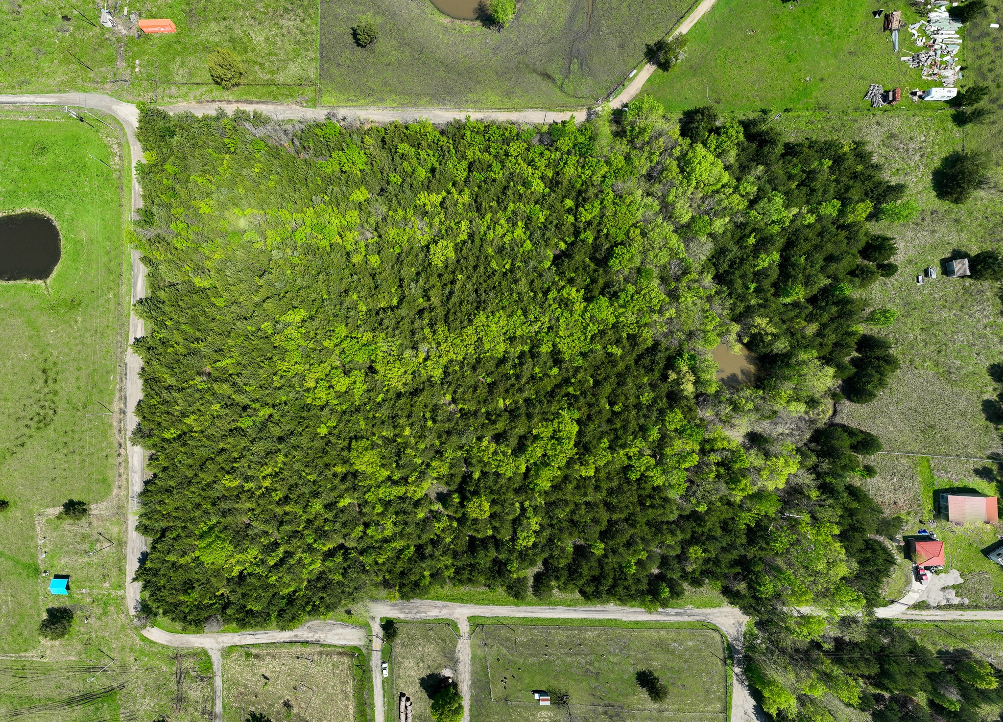 Land in Wolfe City 2