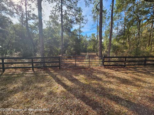 0 Rosehill Dr, WEBSTER, FL, 33597 | Card Image