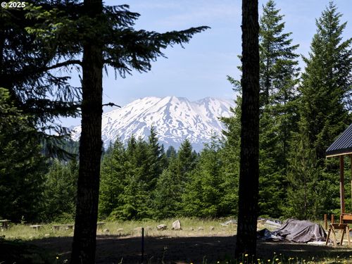 2 Phyllis Ann Block Ct, Cougar, WA, 98616 | Card Image