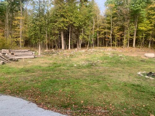 278 Forest Park Rd, Marmora, ON, K0K2M0 | Card Image
