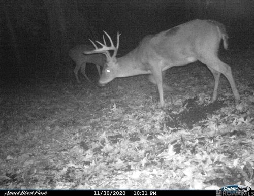 27 Cat Island Rd, Saint Francisville, LA, 70775 | Card Image