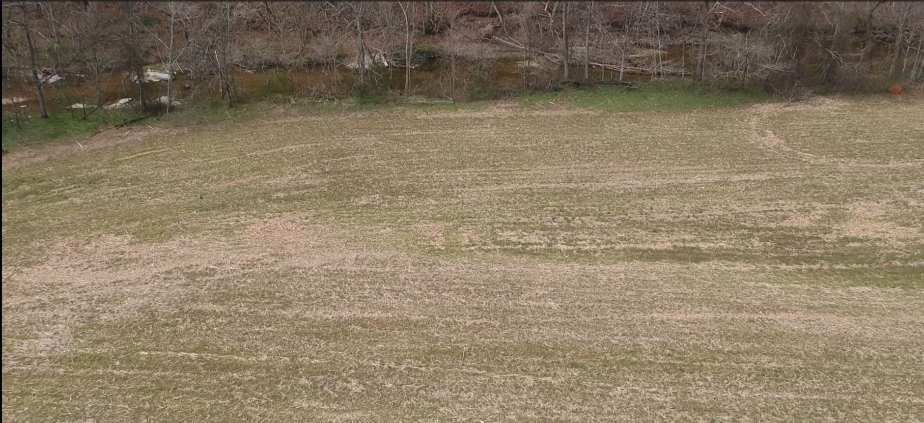 Land in Westmoreland 2