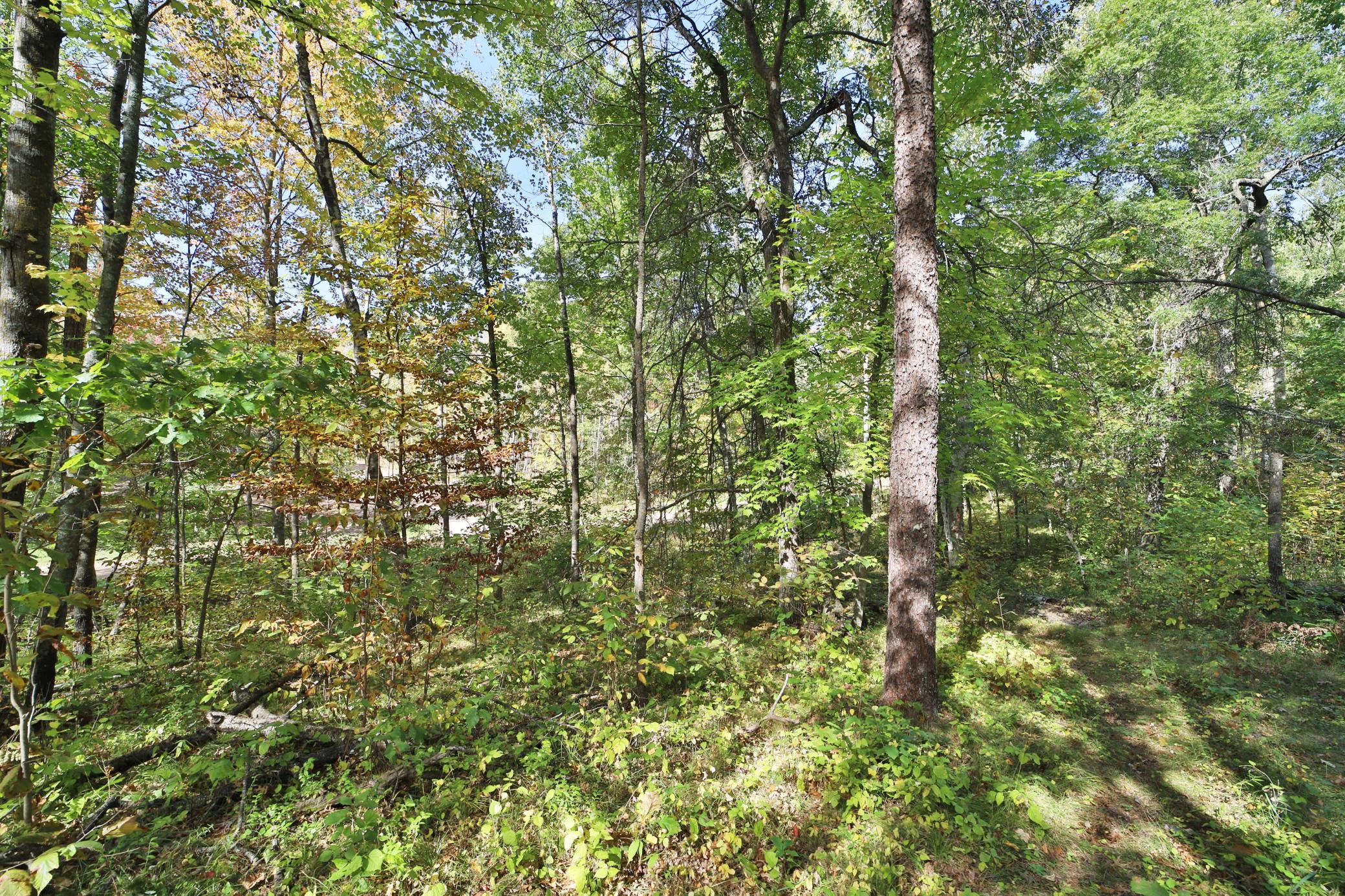 Land in Breezy Point 4