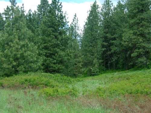 X11X Hoag Rd, Valley, WA, 99181 | Card Image