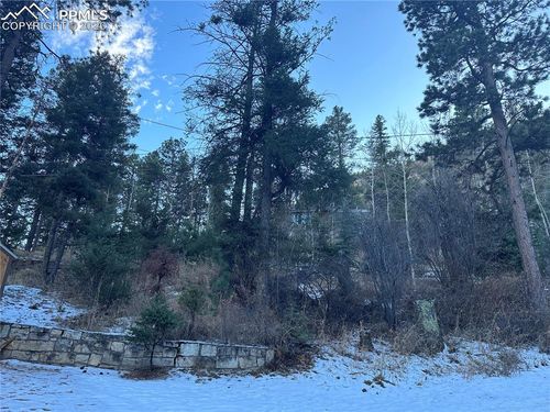 TBD Wildwood Road, Cascade, CO, 80809 | Card Image