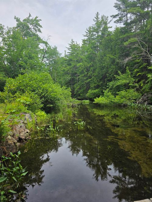 217 Heath Rd, Sanbornville, NH, 03872-4113 | Card Image