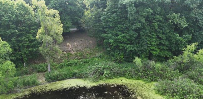 15326 Madron Lake Rd, Home with 0 bedrooms, 0 bathrooms and null parking in Buchanan MI | Image 13