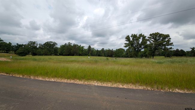 16832 Ridgeline Loop, Home with 0 bedrooms, 0 bathrooms and null parking in Winona TX | Image 4