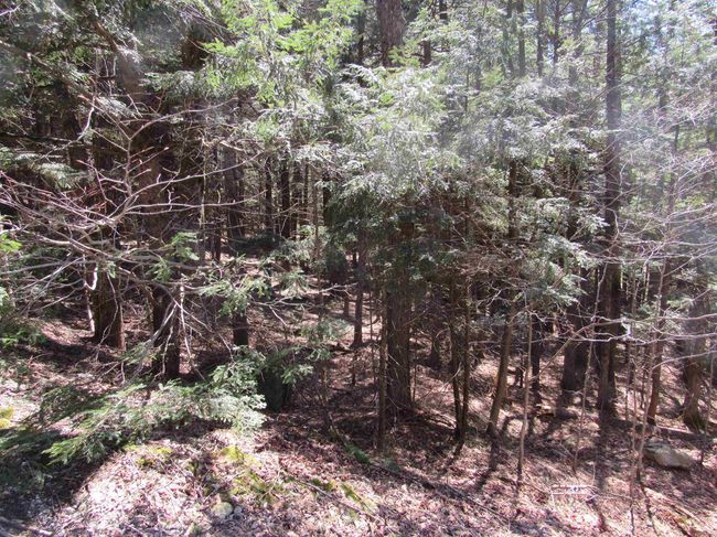 58 - 0 Stratton View Road, Home with 0 bedrooms, 0 bathrooms and null parking in Winhall VT | Image 5