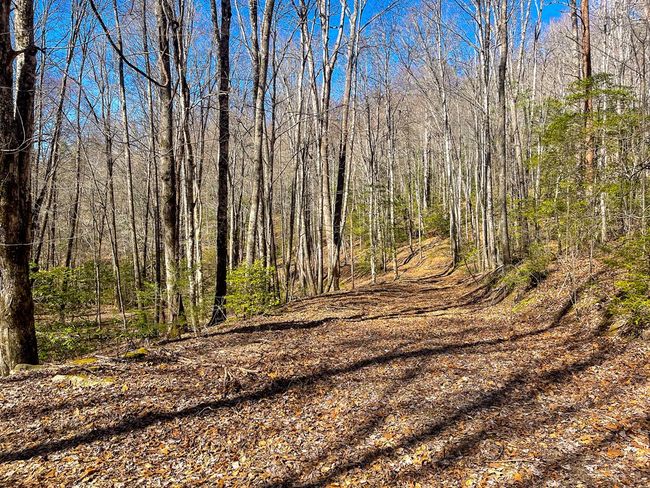 3088 Little Choga Rd, House other with 1 bedrooms, 1 bathrooms and null parking in Topton NC | Image 25