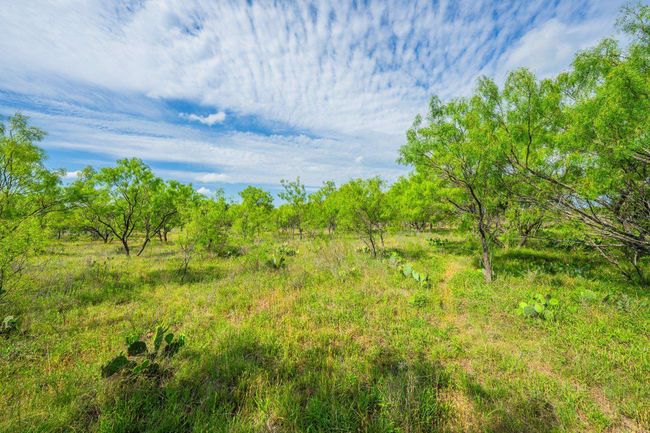 13315 N State Highway 16, Home with 3 bedrooms, 3 bathrooms and null parking in Llano TX | Image 27