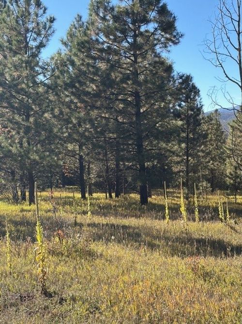 Lot F-2 Section 21, 2.024 Acres In El Macho Canyo, Pecos, NM, 87552 | Card Image